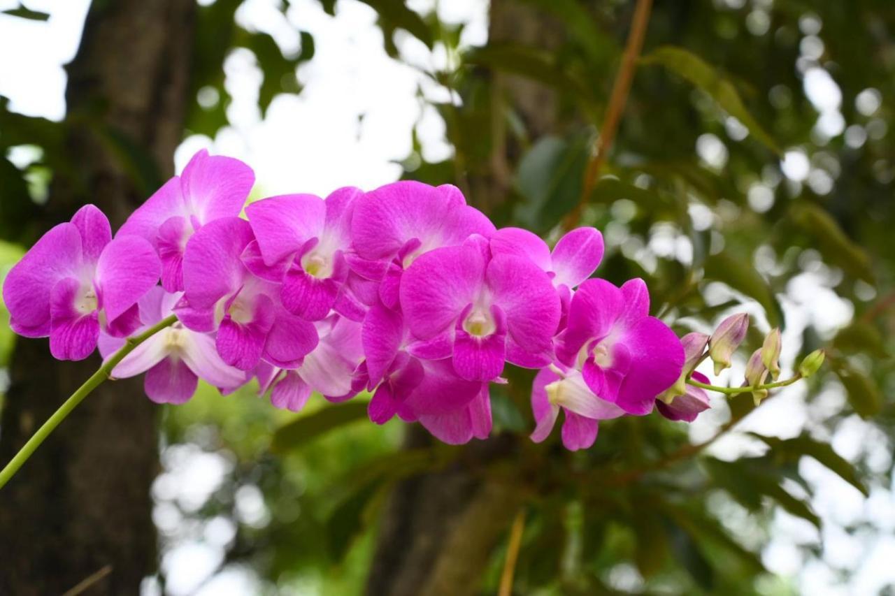 Ban Huai Yai Baan Nern Khao Resort Pattaya מראה חיצוני תמונה